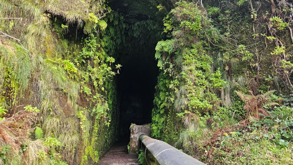 Private Tour : 25 Fontes Levada Hike - Levada Hike Experience