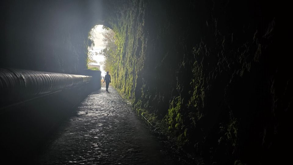 Private Tour : 25 Fontes Levada Hike - Laurissilva Forest Exploration