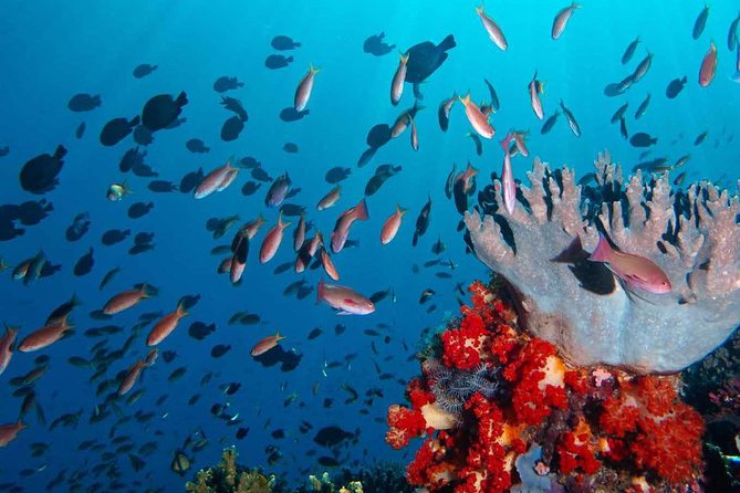 Private Tour 4 Days 3 Nights Komodo on Boat, Waterfall and Rangko Cave - Itinerary Overview