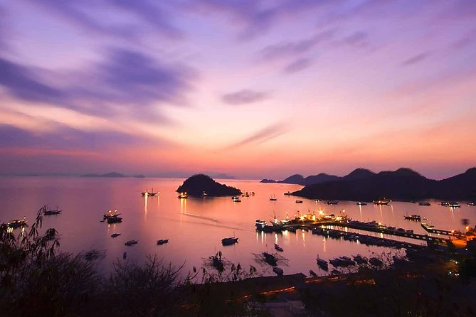 Private Tour 4 Days 3 Nights Komodo on Boat, Waterfall and Rangko Cave - Wildlife Experiences