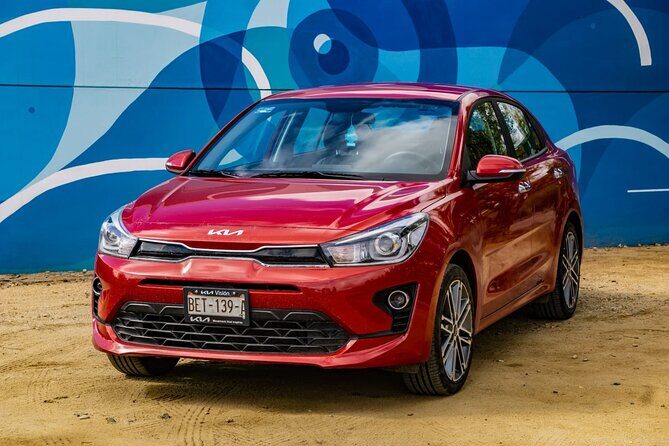 Private tour 6 hours DE 1 - 4 Passengers - Introducing the Private Valle de Guadalupe Wine Tour