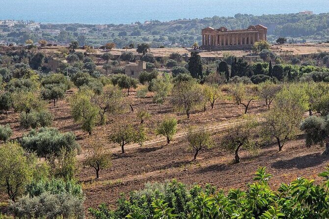 Private Tour Agrigento Valley of the Temples Park and Scala Dei Turchi - Who Will Love This Tour?
