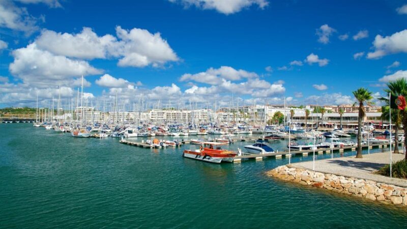 Private Tour Algarve Premium - Key Points