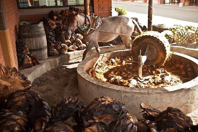 Private Tour, all inclusive: Tlacochahuaya, Mezcal, Teotitlán del Valle - Who Will Love This Tour?