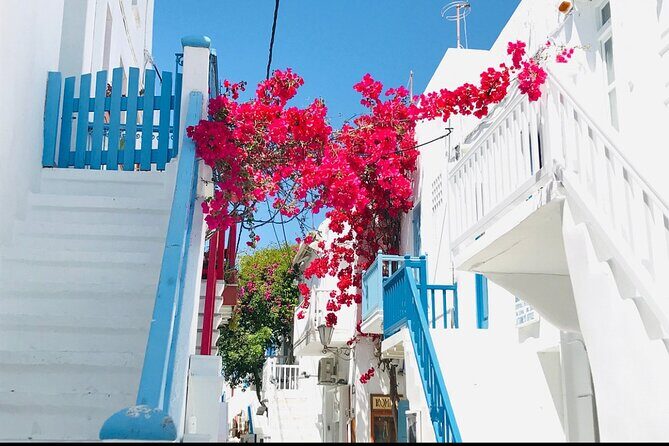 Private Tour: All The Highlights Of Mykonos You Have To See - Final Thoughts: Who Will Love This Tour?