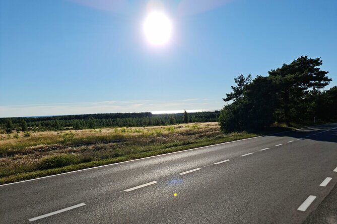Private Tour: Amber Catching in Curionian Spit From Klaipeda - Who Will Appreciate This Tour?