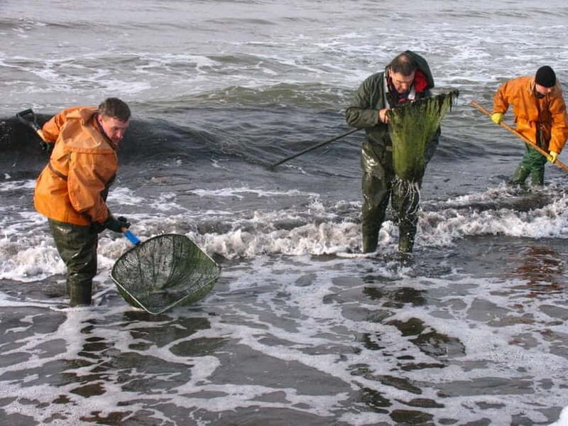 Private Tour: Amber Catching in Curonian Spit from Klaipeda - An In-Depth Look at the Curonian Spit Amber Tour