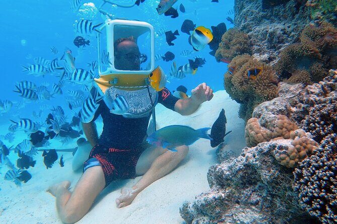 Private Tour: Aqua Safari Scuba Diving - The Experience in Detail