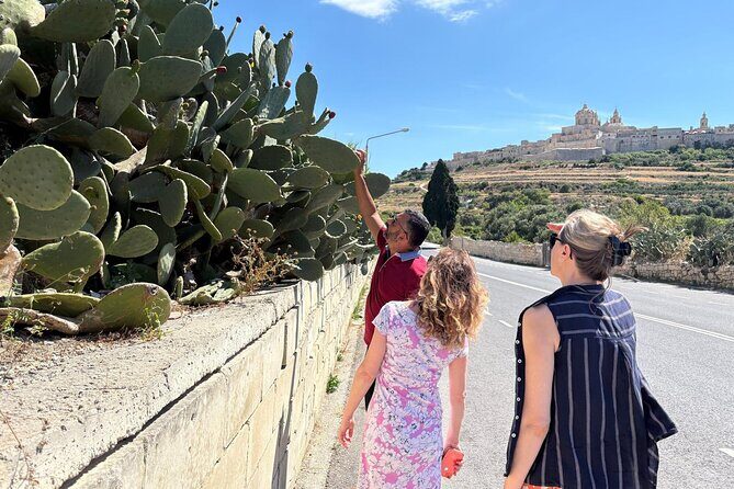 Private Tour Around Malta - Crafts and Souvenirs at Ta Qali