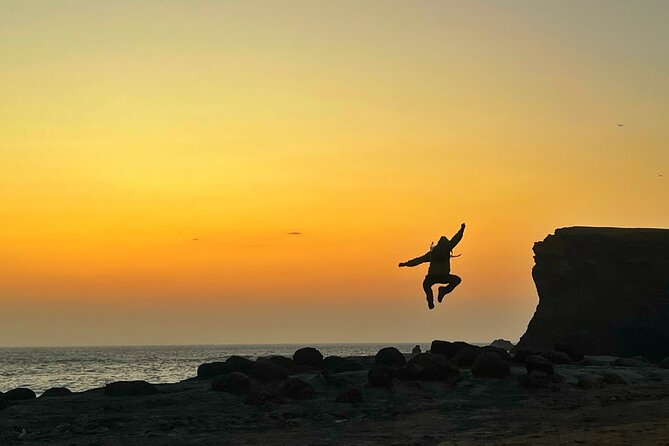 Private Tour at The National Reserve of Paracas - About Your Stay