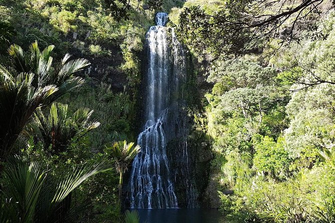 Private Tour: Auckland City and Countryside Tour - Accessibility Features