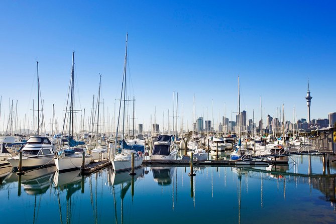 Private Tour: Auckland City and Countryside Tour - Booking Information