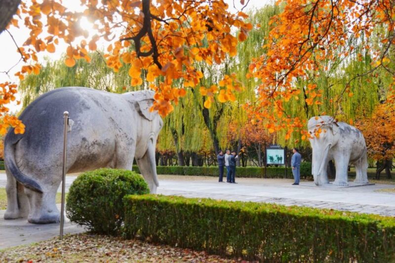 Private Tour: Badaling Great Wall and Dingling at Ming Tombs - Transportation and Guide