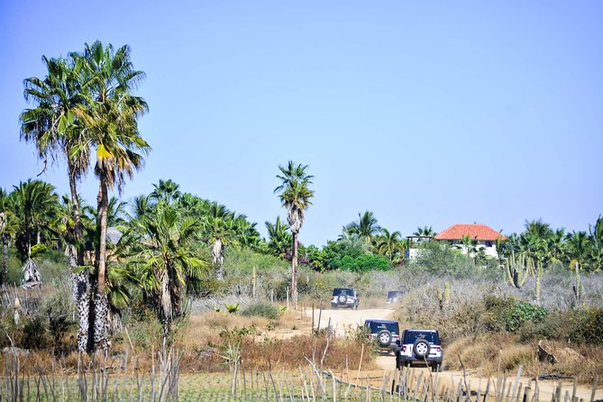 Private Tour Baja Jeep 4x4 Adventure at Los Cabos - Pricing and Booking