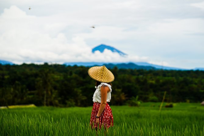 Private Tour: Bali Temple and Countryside Tour - Important Tour Information