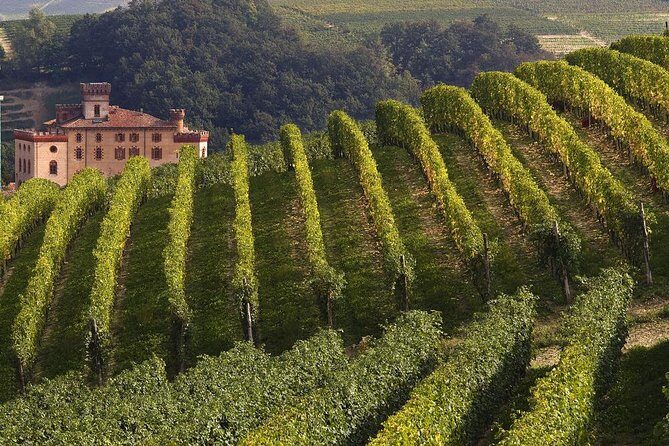 Private Tour: Barolo Wine Tasting in Langhe area from Torino - Key Points