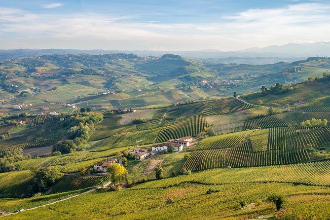 Private Tour: Barolo Wine Tasting in Langhe area from Torino - Pricing and Value
