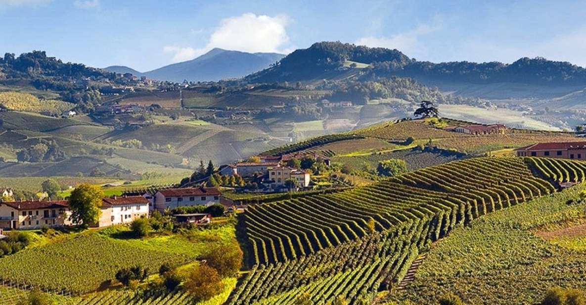Private Tour: Barolo Wine Tasting in Langhe Area From Torino - Activity Description