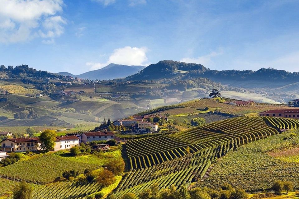 Private Tour: Barolo Wine Tasting in Langhe Area From Torino - Important Information