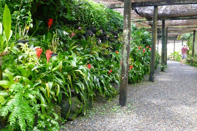 Private Tour: Best of Nadi Highlights - Final Words