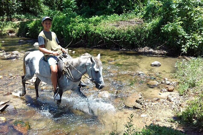 Private Tour Biausevu Waterfall and Fijian Village Experience - Why This Tour Works Well for Certain Travelers