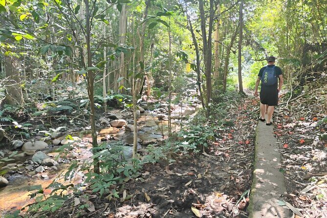 Private Tour Biausevu Waterfall and Fijian Village Experience - Final Thoughts