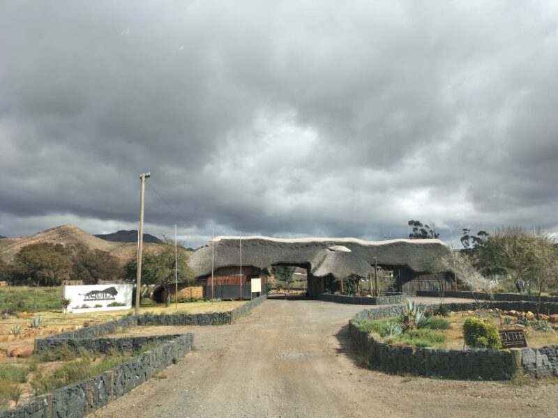 Private Tour: Big 5 Safari, Experience the Wild Animals - Good To Know