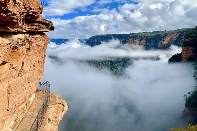 Private Tour: Blue Mountains Hiking & Nature - What Makes This Tour Stand Out?