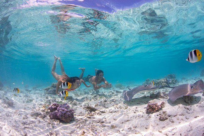 Private Tour: Bora Bora Lagoon Eco Snorkel Cruise - 3hrs or 6hrs - Key Points