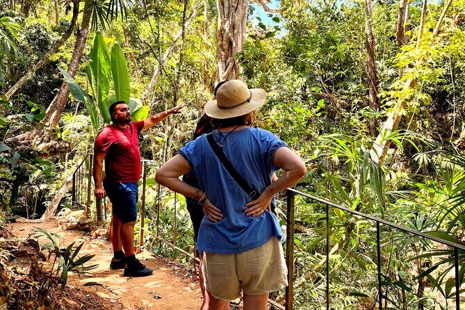 Private Tour: Botanical Garden, Petroglyphs & Mexican Food - Practical Details and Logistics