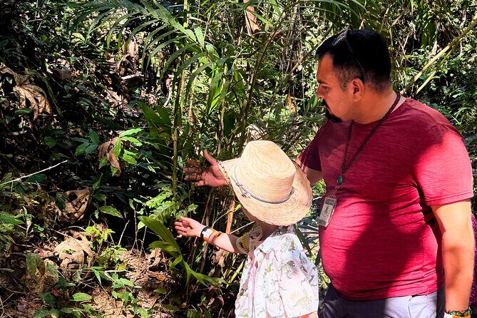 Private Tour: Botanical Garden, Petroglyphs & Mexican Food - Value and Who Will Love This Tour