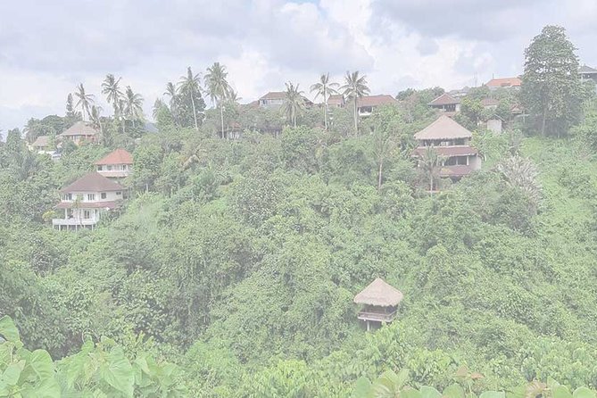 Private Tour: Campuhan Ridge Walk, Ubud Rice Terrace & Ubud Palace - Inclusions and Exclusions