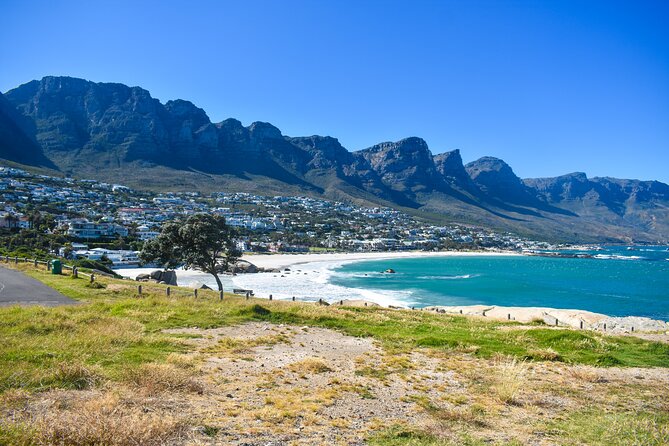 Private Tour: Cape of Good Hope & Boulders Beach Penguin Colony - Booking Information