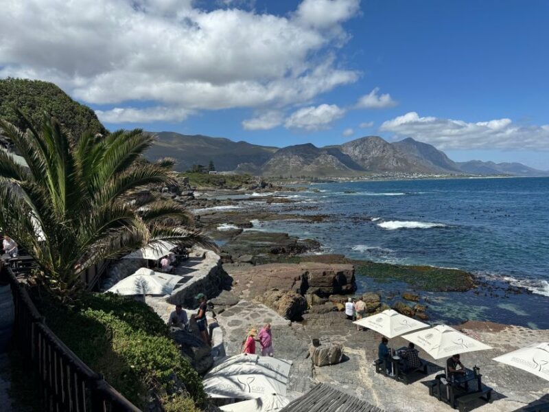 Private Tour: Cape Town to Cape Agulhas See Penguins - Good To Know