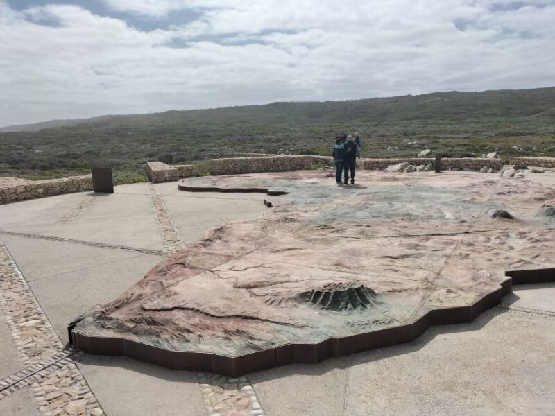 Private Tour: Cape Town to Cape Agulhas See Penguins - Penguin Viewing at Stony Point
