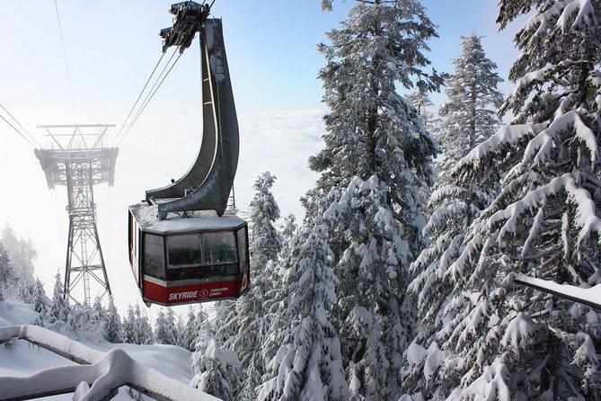 Private Tour: Capilano Suspension Bridge and Grouse Mountain - Meeting and Pickup Details