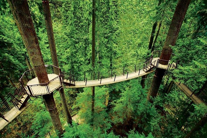 Private Tour: Capilano Suspension Bridge and Grouse Mountain - Cancellation and Pricing