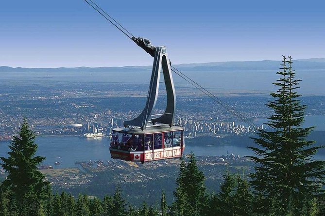 Private Tour: Capilano Suspension Bridge and Grouse Mountain - Treetops Adventure and Cliffwalk