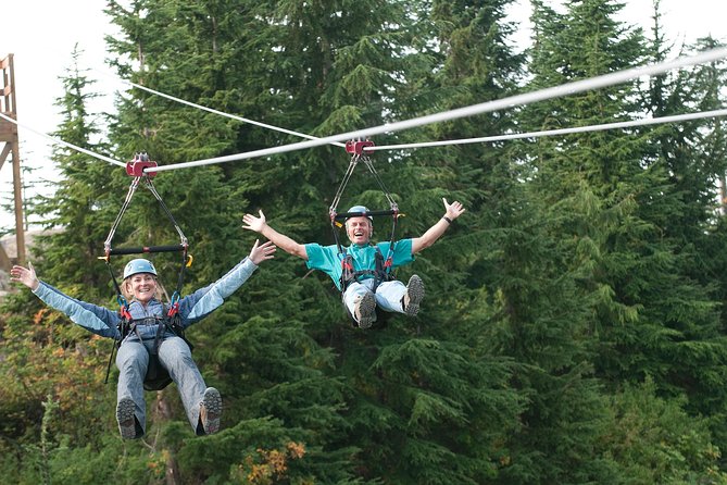 Private Tour: Capilano Suspension Bridge and Grouse Mountain - Gondola Ascent at Grouse