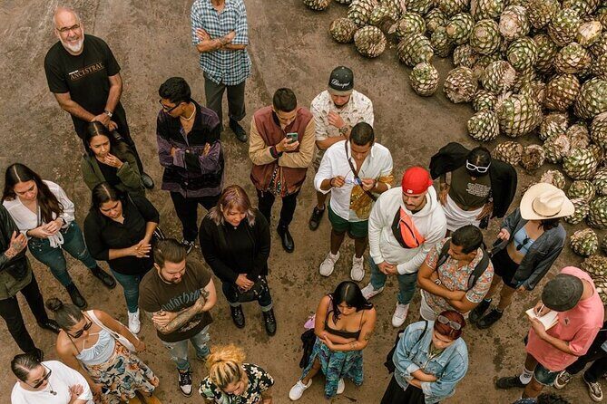 Private Tour Cascahuin Distillery and visit to Tequila - Who Should Consider This Tour?