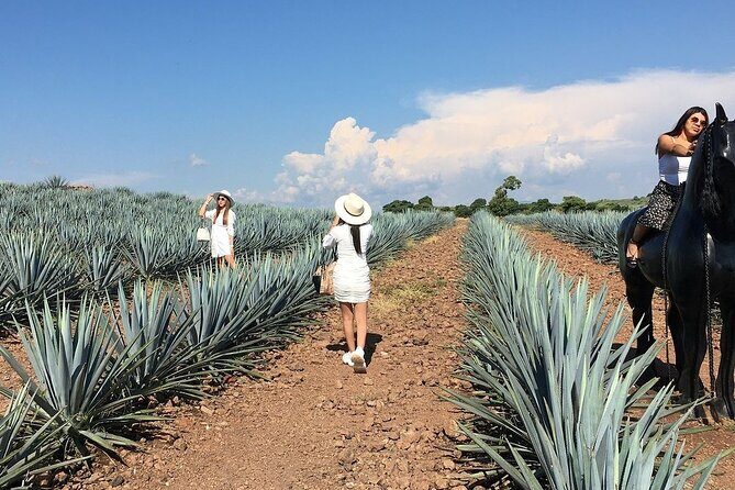 Private Tour Cascahuin Distillery and visit to Tequila - FAQ