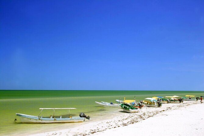 Private Tour: Celestun Biosphere Reserve by Yucatan Concierge - Key Points