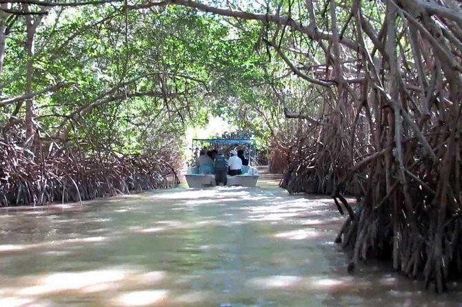 Private Tour: Celestun Biosphere Reserve by Yucatan Concierge - An In-Depth Look at the Tour