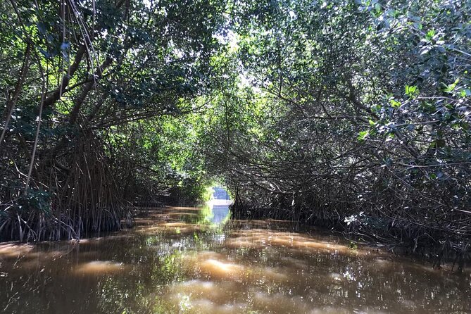 Private Tour Celestun Flamingo Watching and Beach - Explore UNESCO-listed Coastal Ecosystem
