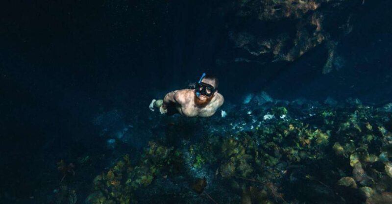 Private Tour cenotes of Mucuyche & Santa Barbara in one day - Key Points