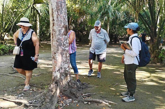 PRIVATE TOUR Chacchoben Mayan Ruins from Costa Maya - FAQs