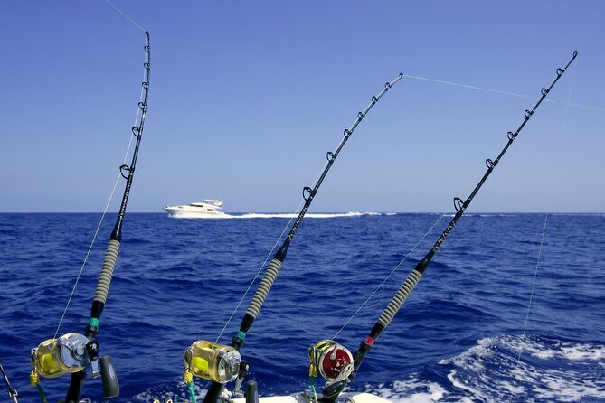Private Tour Charter Deep Sea Fishing on Wahooter's - Key Points
