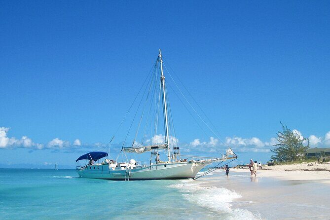 Private Tour Charter Deep Sea Fishing on Wahooter's - The Sum Up