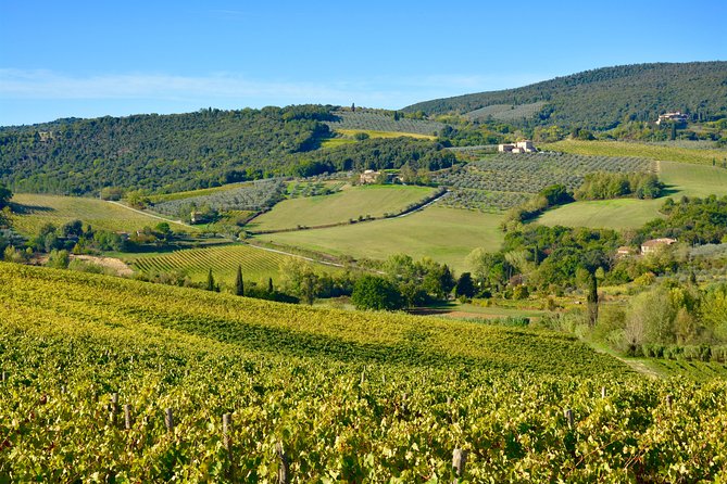Private Tour: Chianti Region Tour by Minivan - Private Minivan Experience