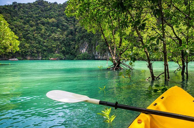 Private Tour Clear Bottom Kayak Mangrove - Summary: Who Will Love This Tour?
